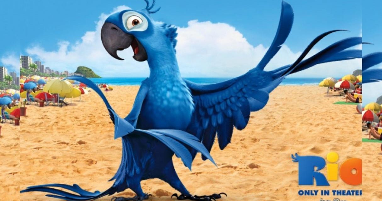 El ave azul que inspiró la película “Río” se extinguió de su hábitat natural