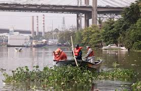 Proceso de Limpieza en el Rio Ozama Liberan unas 700 Toneladas de Basura