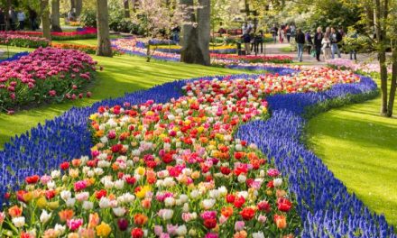 Llegó la primavera al parque floral más grande de Europa