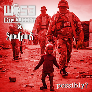 Wise Intelligent "Possibly?" produced by Snowgoons