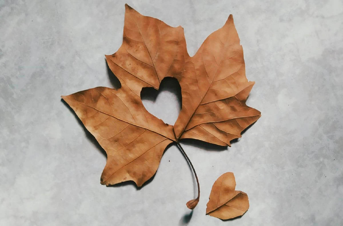 Nuevo álbum de Jenny Problema – "Han pasado cosas"