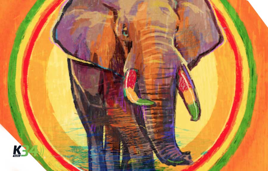 Famara presenta Tembo Power