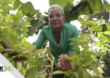 Mujeres SUPEREmprendedoras” de Supérate ya ha graduado a 964 mujeres