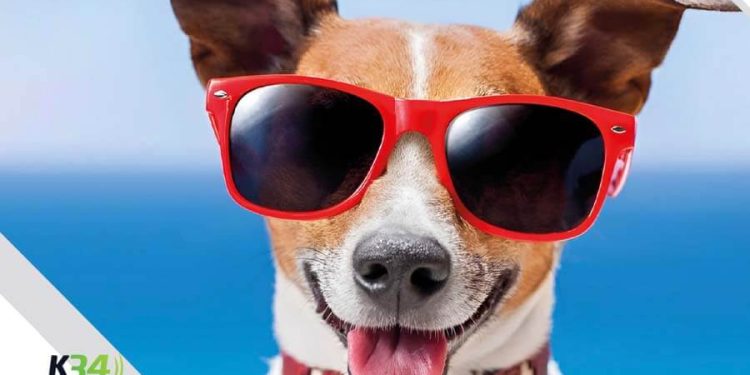 Por primera vez en la RD una guía de prevención y rescate de mascotas durante Semana Santa