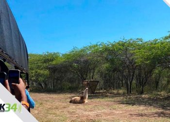 Tierra tropical abre sus puertas a niños con necesidades especiales totalmente gratis