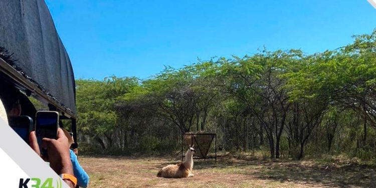 Tierra tropical abre sus puertas a niños con necesidades especiales totalmente gratis