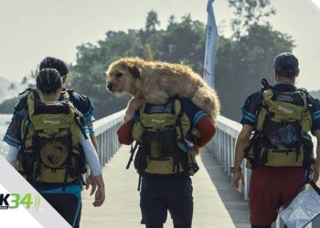 “Arthur: Una amistad sin límites”, película estadounidense filmada en RD llega a los cines