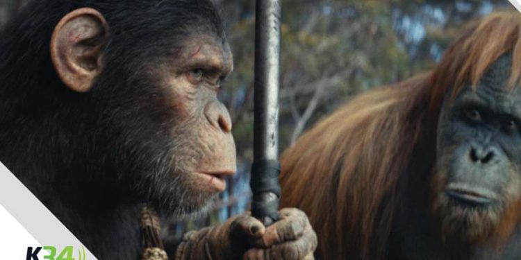 “El Planeta De Los Simios: Nuevo Reino” con gran estreno este 9 de mayo