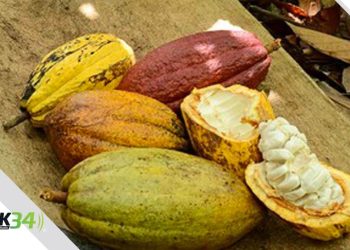  Fundación Oviedo celebra Día del Padre