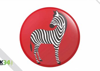 Pinturas Cebra premia la creatividad de sus consumidores