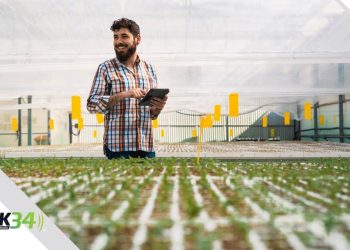 Consejos financieros prácticos para jefes de hogar