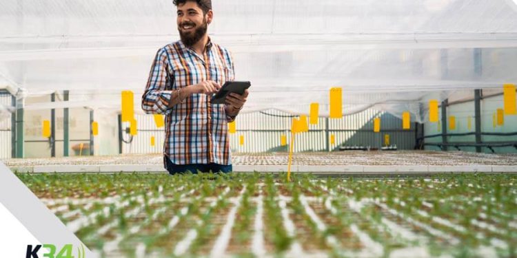 Consejos financieros prácticos para jefes de hogar