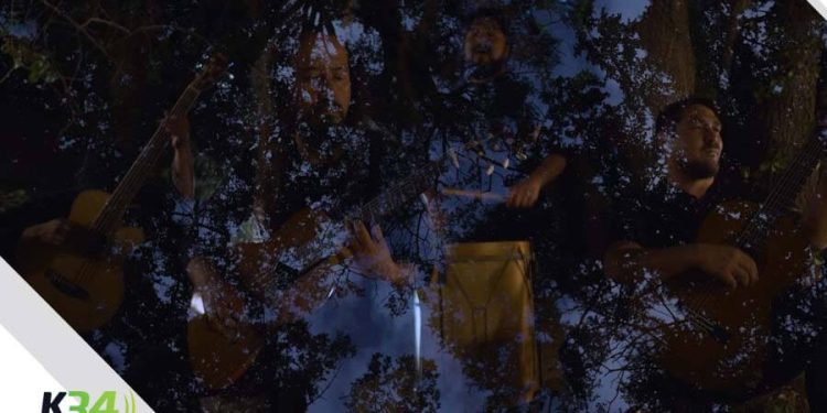 Bosque de Hualles libera su primer disco larga duración