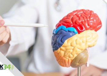Cómo prevenir un accidente cerebrovascular en personas con Diabetes Tipo 2