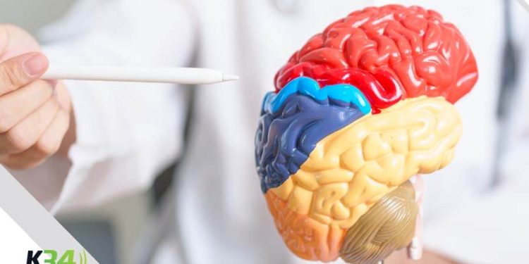 Cómo prevenir un accidente cerebrovascular en personas con Diabetes Tipo 2