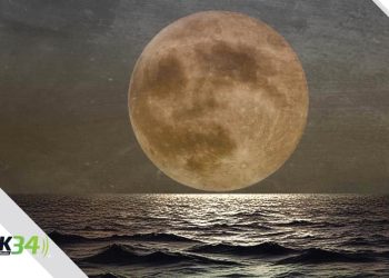 Celebran Cumbre de Líderes de Banda Ancha de Fibra LATAM 2024