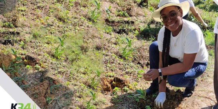Estudiantes ITSC participan en jornada de saneamiento y siembra en el Parque Ecológico San Isidro