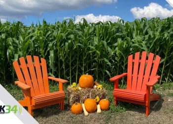 Más días para disfrutar del Pumpkin Patch en Tierra Tropical