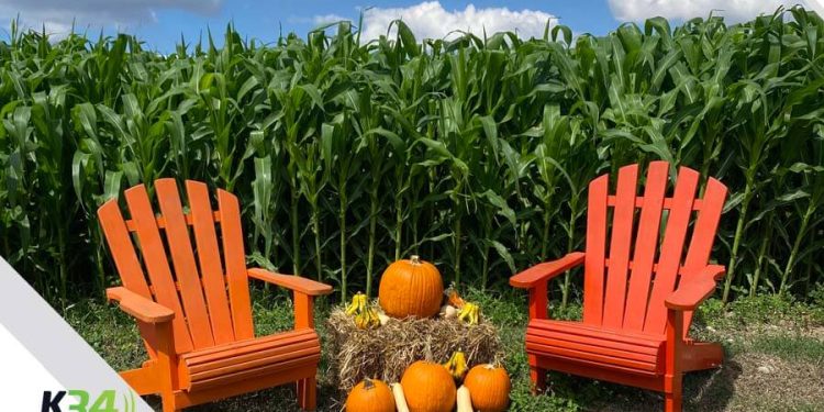 Más días para disfrutar del Pumpkin Patch en Tierra Tropical