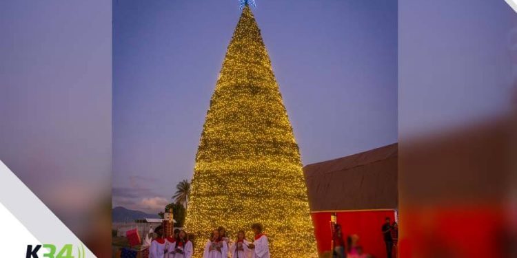 Los campos de pinos llegan a Tierra Tropical para celebrar el “Christmas Farm”