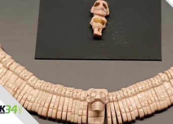 “El Dukke” la  mente maestra, creador y director de "Artistas Cultura por Colombia"