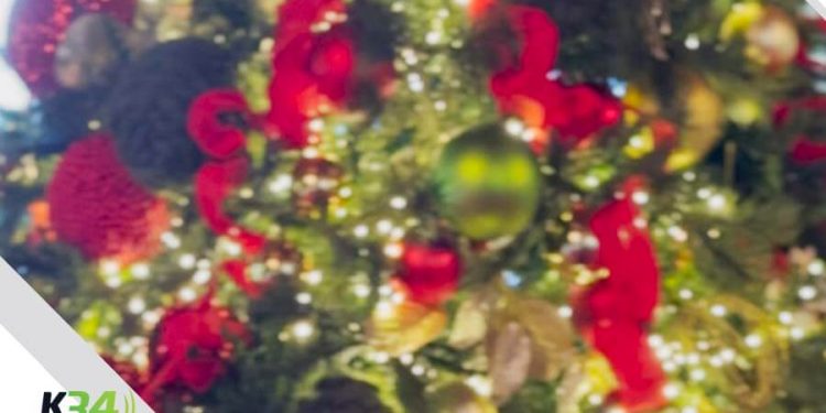 Carolina Mejía anuncia quinta edición de Plásticos por Juguetes para este 5 de enero