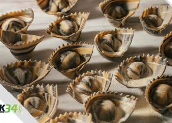 Los Infaltables de Barolo: Una Experiencia que Redefine la Cocina Italiana