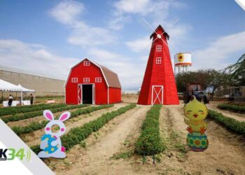 ¡Easter Egg Hunt 2025 Llega a Tierra Tropical! Una Experiencia Familiar Única