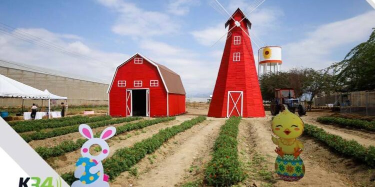 ¡Easter Egg Hunt 2025 Llega a Tierra Tropical! Una Experiencia Familiar Única