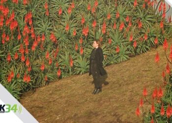 Evelyn Garrido Lanza su Álbum Debut "La Dirección de Mi Corazón"