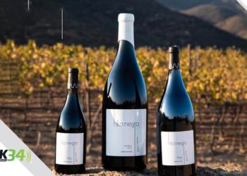 Hilo Negro Brilla en Nación de Vinos 2025: Tradición, Innovación y Maridajes Inolvidables