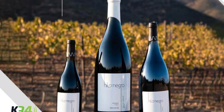 Hilo Negro Brilla en Nación de Vinos 2025: Tradición, Innovación y Maridajes Inolvidables