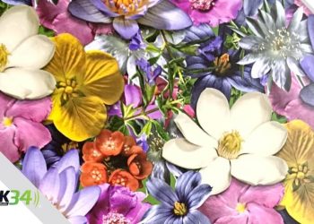 Alcaldía del DN y Concejo de Regidores reconocen a las Heroínas de la Cotidianidad 2025