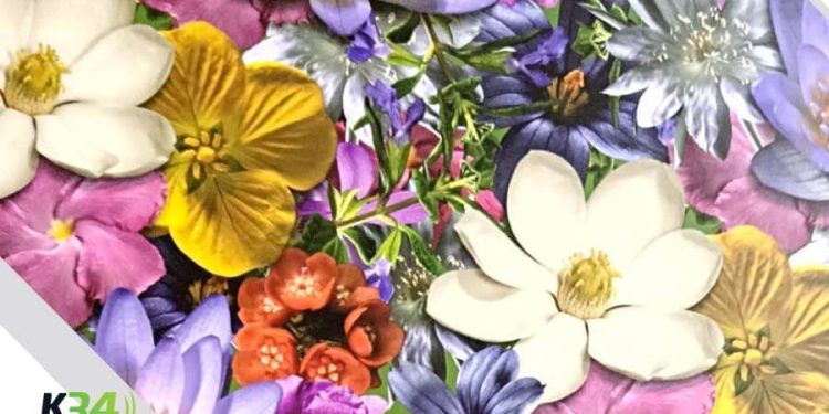 Alcaldía del DN y Concejo de Regidores reconocen a las Heroínas de la Cotidianidad 2025