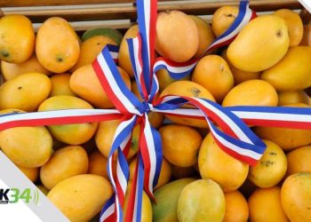 Senado declara a Baní como la Capital del Mango, una iniciativa del senador Julito Fulcar