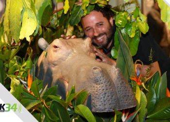 “Pepe”, la galardonada obra de Nelson Carlo de los Santos Arias, llega a los cines este 1 de mayo