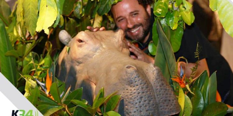 “Pepe”, la galardonada obra de Nelson Carlo de los Santos Arias, llega a los cines este 1 de mayo