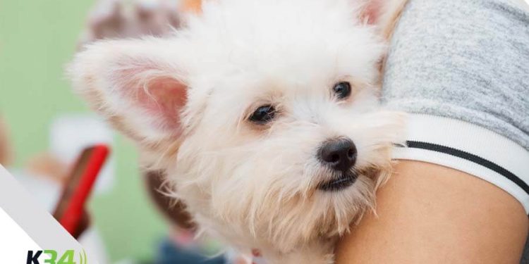 SODOMEDI presenta informe de gestión con importantes logros y proyección internacional