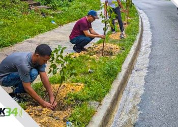 Alcaldía del DN planta 140 árboles en la avenida Paseo de los Reyes Católicos