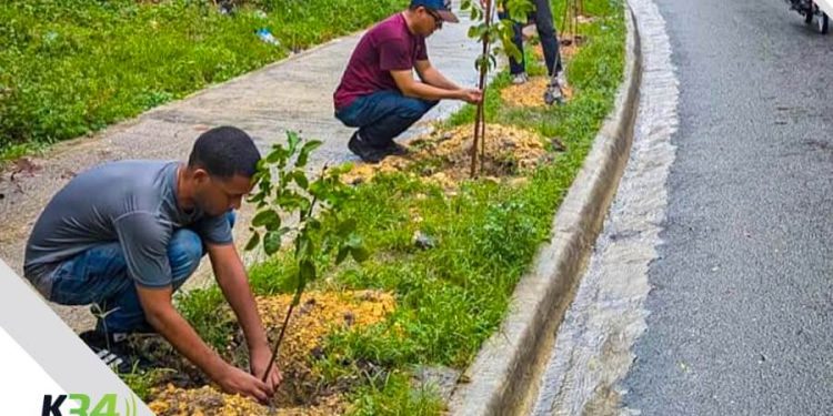 Alcaldía del DN planta 140 árboles en la avenida Paseo de los Reyes Católicos