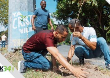 Alcaldía del DN y Fundación Renacer plantan 150 árboles en avenida Paseo de los Reyes Católicos