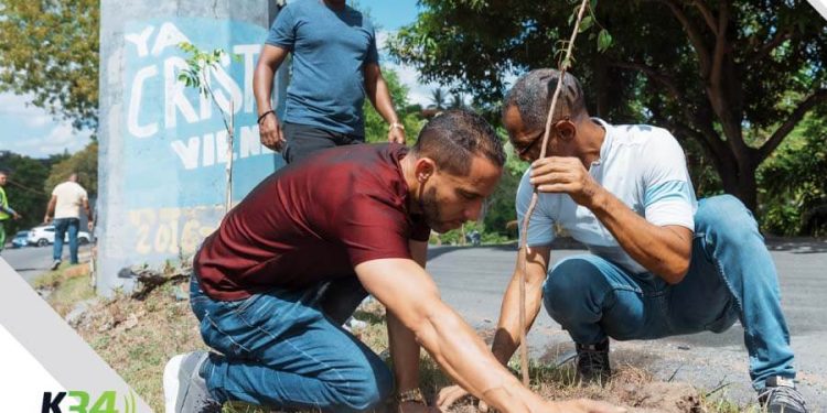 Alcaldía del DN y Fundación Renacer plantan 150 árboles en avenida Paseo de los Reyes Católicos