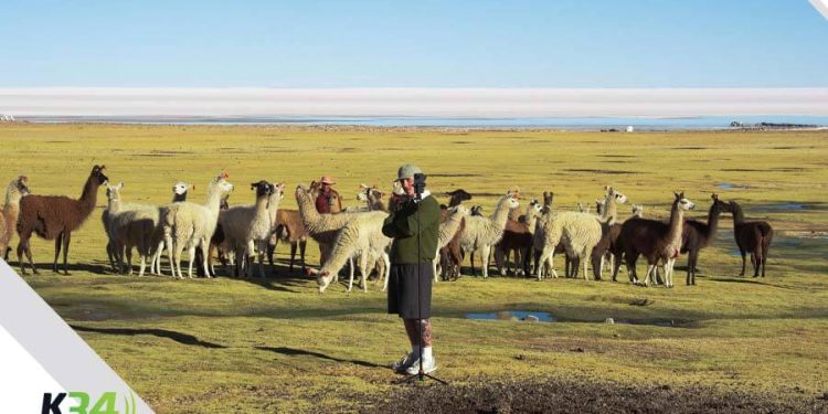 Alan Wittels enamora con “Lo que siento”, su nuevo sencillo cargado de honestidad y romanticismo