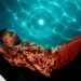 Osman presenta “Marea”, su primer EP: un viaje de amor, nostalgia y raíces caribeñas
